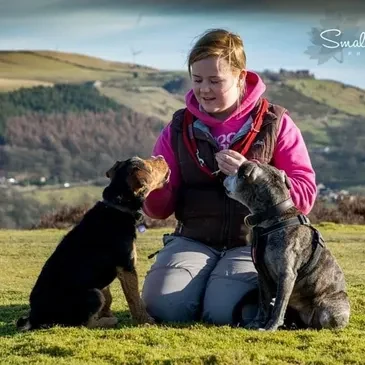 Reward based dog training outdoors